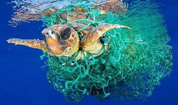 Eventos de responsabilidad corporativa plásticos en el mar
